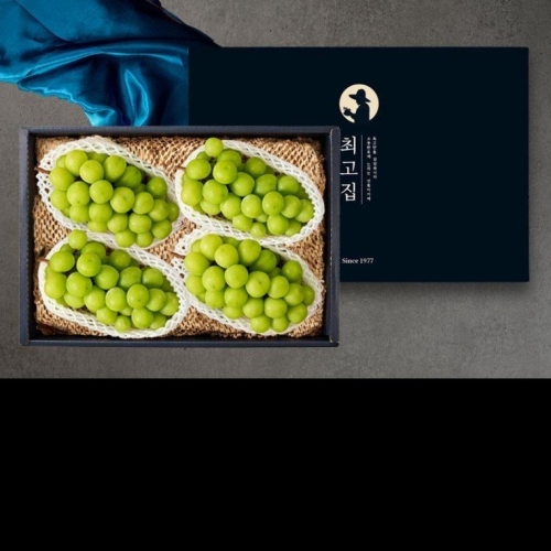 최고집  샤인머스켓 선물세트 / 실속 2kg 특 4수