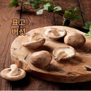 표고버섯  파지 5kg 신선농장
