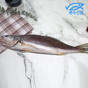 e수산물  반건조 민어조기 중 32cm