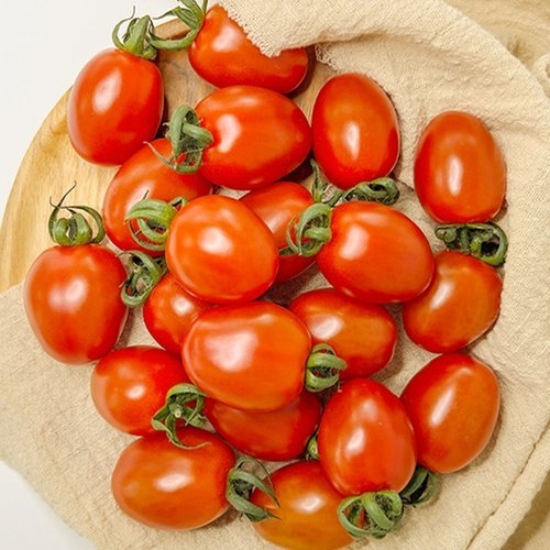 이푸른 스테비아 대추 방울토마토