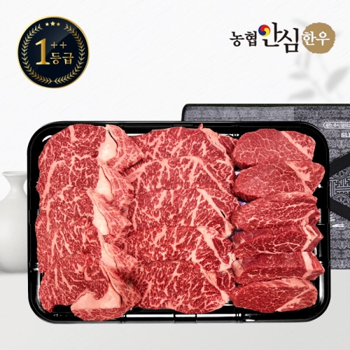 농협안심한우  1++등급 한우 채반 구이 1호 1kg