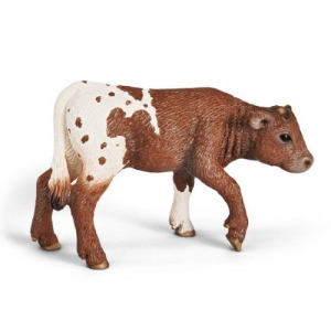 텍사스 롱혼 송아지 (SL13684)