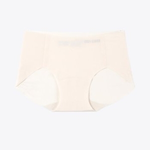 보디가드 예스 프리컷 심리스 팬티 BGWPZ451