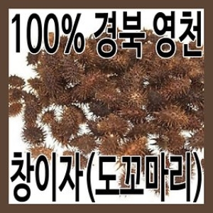 그린내추럴  국내산 경북 영천 창이자 300g.도꼬마리