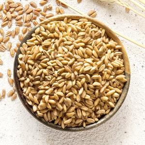 갑당약초  파로 엠머밀 1kg