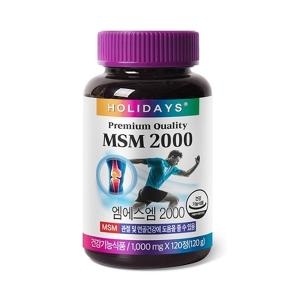 홀리데이즈 MSM 2000 120정