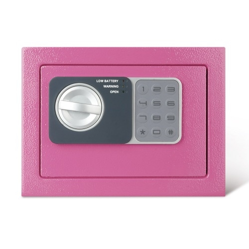 세이프네트워크  SAFEBANK-100