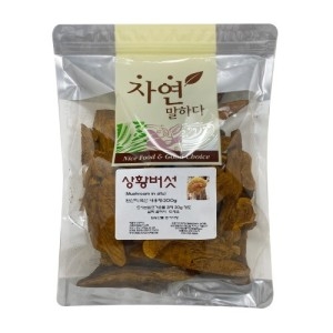 자연 말하다 상황버섯 200g