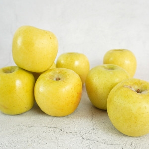 더조은푸드  황금사과 시나노골드 5kg / 상품선택