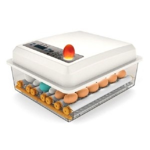 Flechazo 병아리 조류 16란 자동부화기