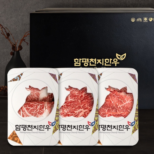 함평축협 함평천지한우 1+등급 혼합선물세트 9호 1.2kg
