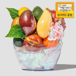 라라르떼  와인버킷 과일 바구니선물세트 소형 3.1kg