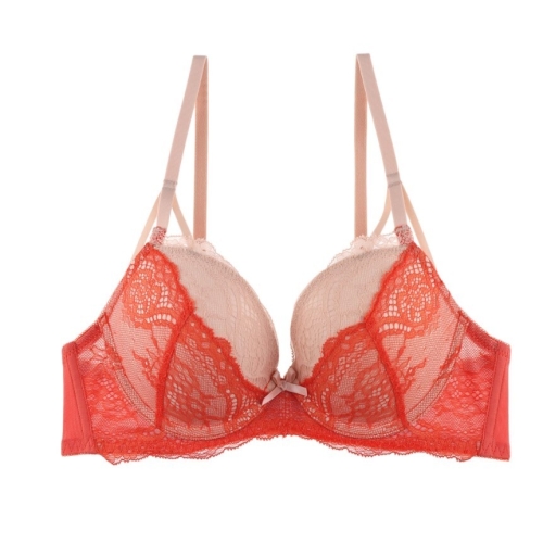 섹시쿠키 리지드 레이스 오렌지 브라SCWBW505
