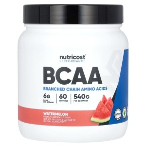 뉴트리코스트 퍼포먼스 BCAA 수박맛 540g