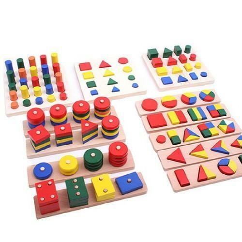 12종 브레인 교구