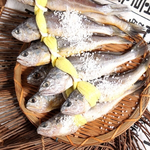 영광굴비  법성포 굴비 40미 2.1kg 내외