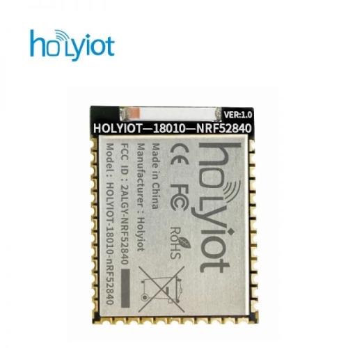스마트  Holyiot 블루투스 모듈 저에너지 NRF52840 칩셋 BLE 메쉬 모듈 세라믹 안테나용 자동화 2.4Ghz
