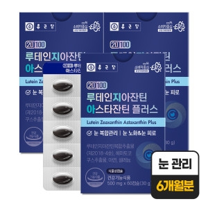 종근당건강 20100 루테인 지아잔틴 아스타잔틴 플러스 500mg 60캡슐