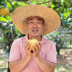 과일꾼  신선집중 24년 햇 나주배 가정용 4-8과 3kg