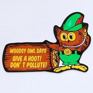 올패턴 레이싱 스티커-WOODSY OWL SAYS