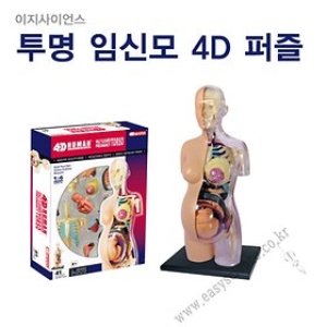 투명임신모4D퍼즐/해부모형/고급입체퍼즐/인체모형