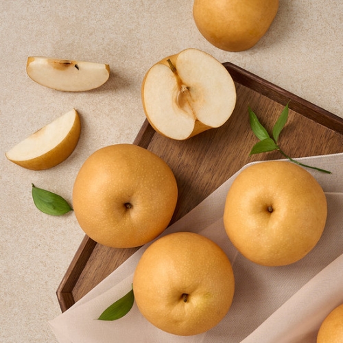 팜스프링  나주배 신고 햇배 가정용 10~11과 5kg