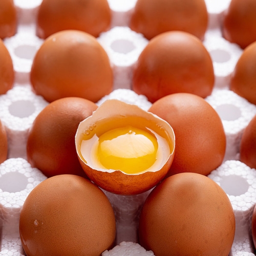 더싱싱  HACCP 난각번호 1번 유정란 60구