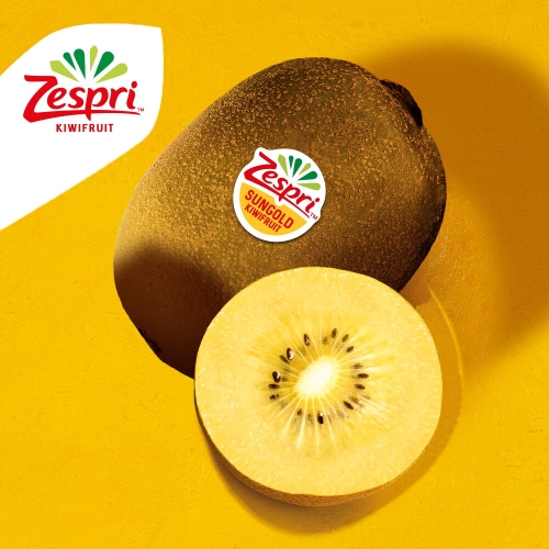 제스프리  골드키위 특대과 사이즈 총 5.72kg 41입 개당 140g 내외