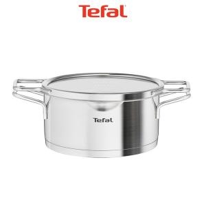 테팔  IH 스테인리스 스틸 노르디카 곰솥