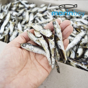 마린보이  남해통영 다시멸치 1.5kg 세멸 지리 고바 꼴뚜기 디포리 고노리 청어 솔치 구수하고 깊은 감칠맛 국물요리