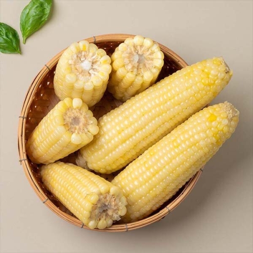 자연맛남 탱글탱글 프리미엄 백찰옥수수 20입 특대
