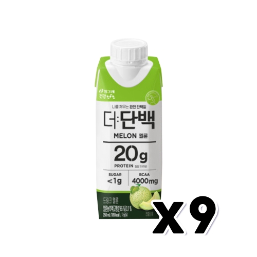 빙그레 더단백 드링크 멜론 250ml