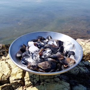 덕이네  홍합 홍합탕 홍합효능 깐홍합 홍합살 생홍합 피홍합 3kg