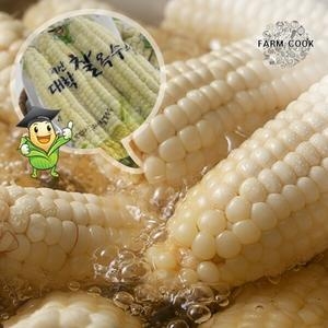 팜쿡  괴산 삶은 대학찰옥수수 실속 못난이 냉동 팩당4개