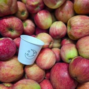 하늘이네사과  사과 쥬스용 부사 10kg