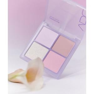 VDL 치크스테인 팔레트 10g