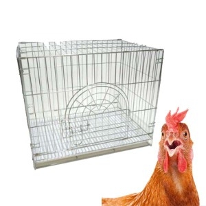 605크롬장 대 - 가로60cm  닭장.병아리.토종닭.오리