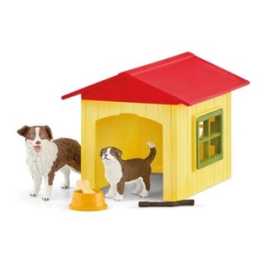 개집과 갈색 보더콜리 (SL42573)