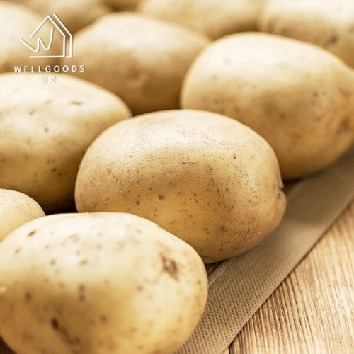 웰굿  국내산 노지 수미감자 대 5kg
