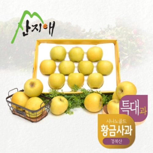 산지애  시나노골드 특대과 3kg