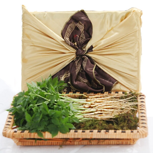 푸르젠  금색보자기 선물세트 이선호 생산자의 새싹삼 100뿌리