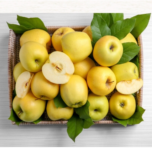 이슬마루 푸른들 경북 가정용 시나노골드 황금사과 대과 26~40과 10kg