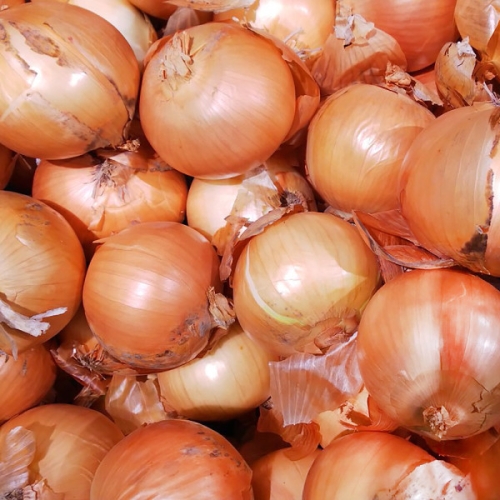 식명관 무안 햇양파 특소 5kg