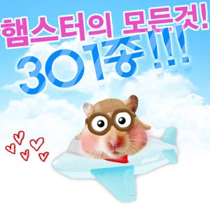 로로펫 후르츠 스매커 1개