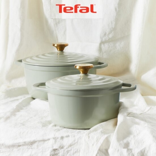 테팔  IH 세라믹 에어 주물냄비 페어그린 2종 (양수20,24)