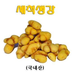 꼬레촌 국내산 세척생강 깐생강 원강 3kg