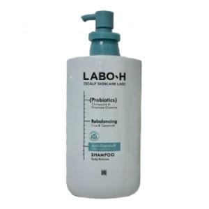 라보에이치 댄드러프클리닉 샴푸 750ml