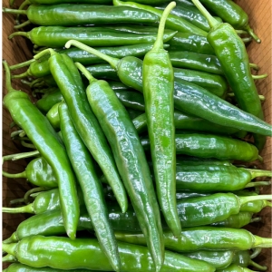 유진스몰 국내산 특 오이고추 1kg