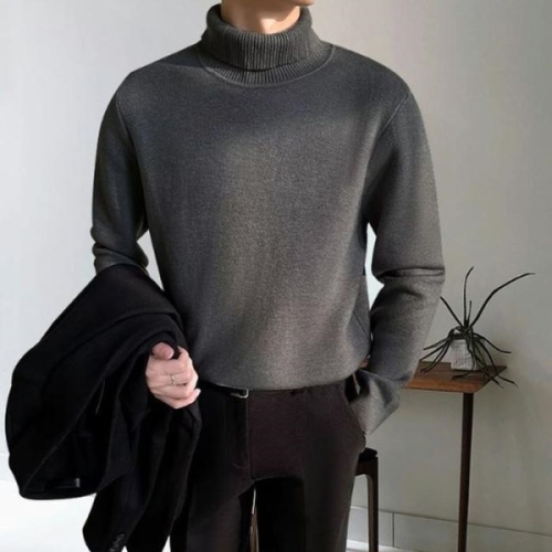 라일리 Rly 포근한 클래식 터틀넥 남성 목티 베이직 긴팔 20269624
