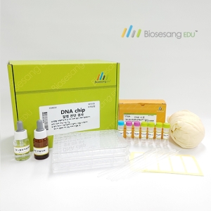 chip 질병 진단 검사 5인KIT ED4014